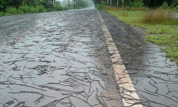 ข่าววันนี้