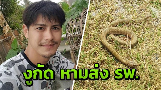 ข่าวบันเทิง